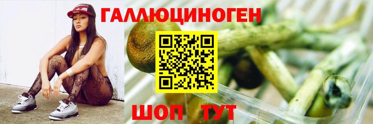 Псилоцибиновые грибы мицелий Копейск